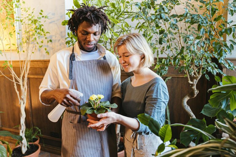 Essential Tips for Keeping Your Houseplants Healthy and Thriving